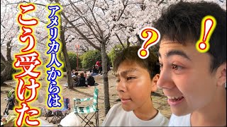 looking at cherry blossoms has huge deal for Japanese!This is HOW ...