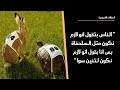 أصعب وأهم مهارة أي حدا منا بحاجة انو يتعلما لينجح بأي شي بدو يعملو بحياتو