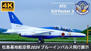 航空自衛隊　ブルーインパルス　ツアー2024 チャレンジコイン 航空自衛隊 ブルーインパルス ツアー2024 チャレンジコイン