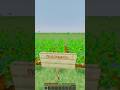 огород с каждым днем все больше и больше #minecraftshorts #minecraftshorts #minecraft #модынамайн