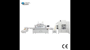 High precision ±0.02mm CCD camera visual automatic alignment screen printing machine  CCD 自动对位印刷机