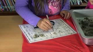 Explorit Science Center