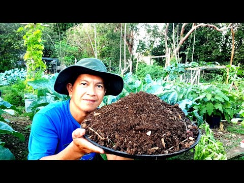 Video: Gabay sa Pagpili ng Garden Tool - Paano Pumili ng Mga Tamang Tool sa Hardin