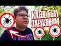 ☘️КЛЕЩ БЫЛ ЗАРАЗНЫЙ 🐢🌳🌳ЧЕМ Я ЗАРАЗИЛСЯ ОТ КЛЕЩА🐸