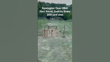 Target Practice #shooting #guns #rifles #hunter #hunting #wildlife #practice #video #videos #shorts