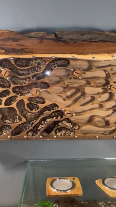 Opening The Wooden Nest!