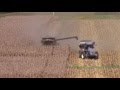 New Holland CR8090 Combine Harvesting Corn With An 18 Row Corn Head