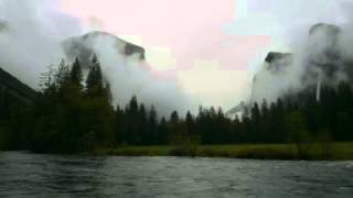 Wilderness 