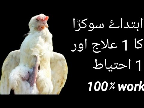 sokra Ka ilaj