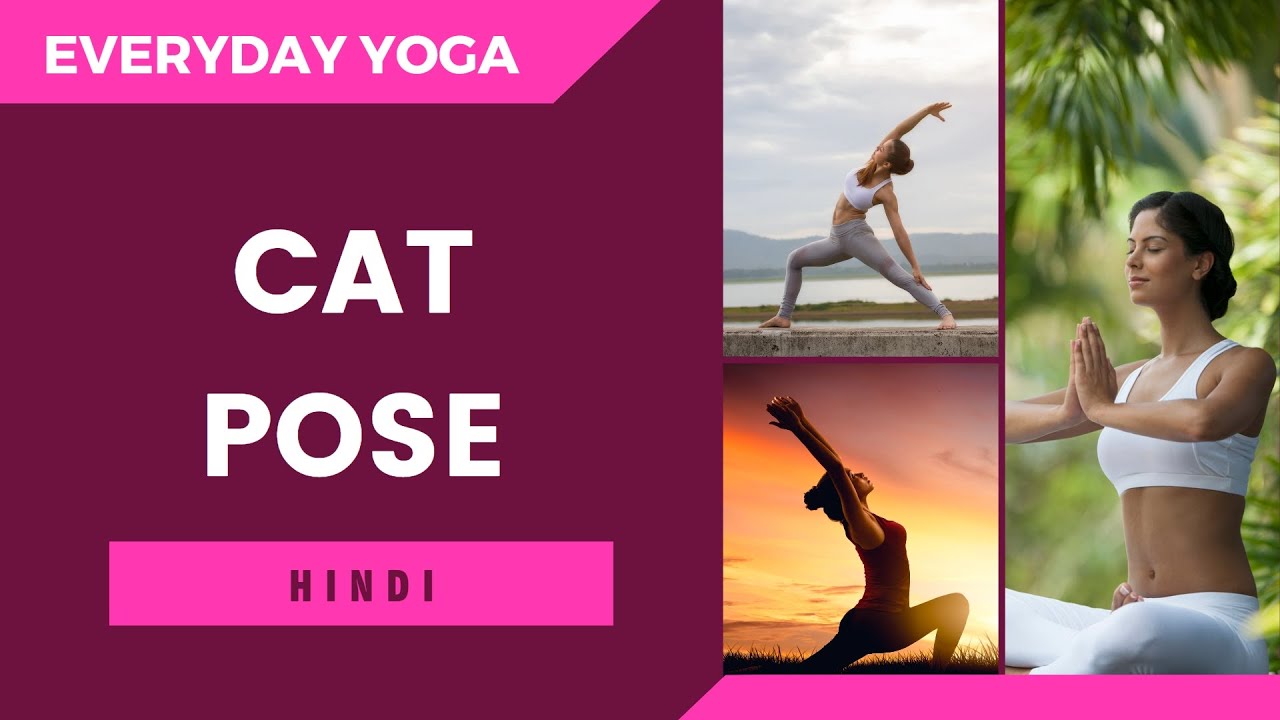 Cat Pose Yoga For Beginners Yogasan in Hindi Yoga For Weight Loss