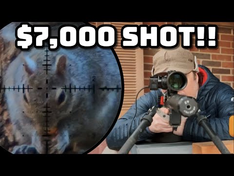Hunting an Expensive
