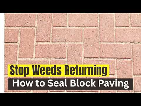 How Long Does Sealer Take To Dry On Pavers