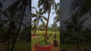 Maharshi Maitreya Ayurveda Gurukul Ashram Tekkatte, Udupi - 576 231 Karnataka