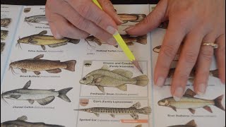 Asmr - Fishing Handbook and Identification Guide - Softly Spoken screenshot 5