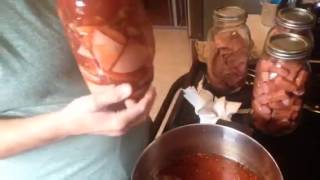 Pickled Sausage/Bologna/Salami/Kielbasa/Little Smokies/Hot Dogs Recipe