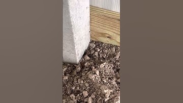 “Concrete-perma columns”…hyped…or real…🪜#shorts