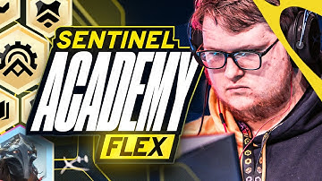 How a World Champion Climbs with Academy Flex - In Too Deep with Frodan