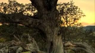 Enya Enigma Delerium