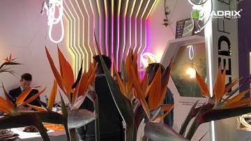 MADRIX professional @ LED Flex Limited | LUXLIVE 2016