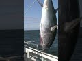 #outdoors #fishing #fish #camping #hunting #fisherman #offshore #boat #nature #naturelover