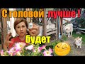 Заболел крол//Огород зарос//У каждого свой солЪ😊