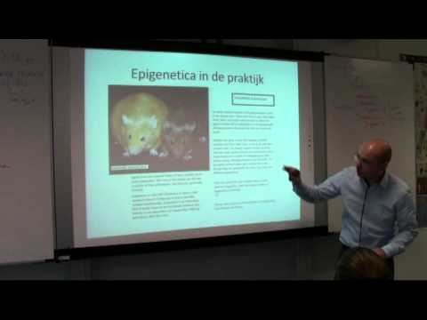 Video: Inter- En Transgenerationele Epigenetische Overerving: Bewijs Bij Astma En COPD?