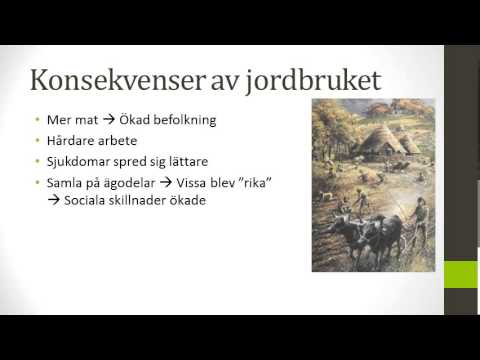 Video: Hur Jordbruket Blev Till