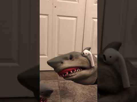 video editing software free Shark Puppet dies again