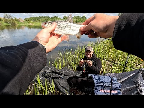 Алексей и его друг Фантомас в поисках карася Volzhanka FeederConcept метод плотва щука method feeder