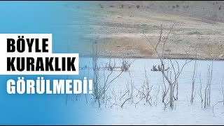 Böyle Kuraklık Görülmedi! Dipteki Ağaçlar Ortaya Çıktı | Agro Tv Haber