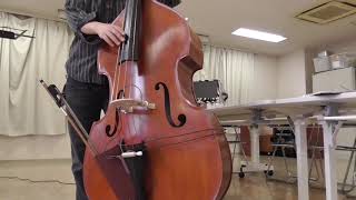 Installing Msp Pickup Double B With Msp Pickup Mic