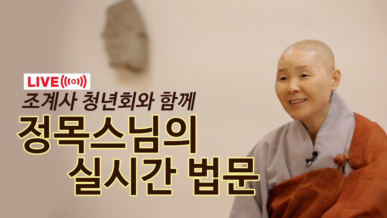 【LIVE】 정목스님의 조계사 청년회 실시간 법문