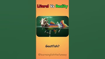 Literal Vs Reality English Compound Words | 025