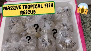 Massive Tropical Fish Rescue, Spiny Tail Iguana Tank Makeover  (Snake Island Exotics)