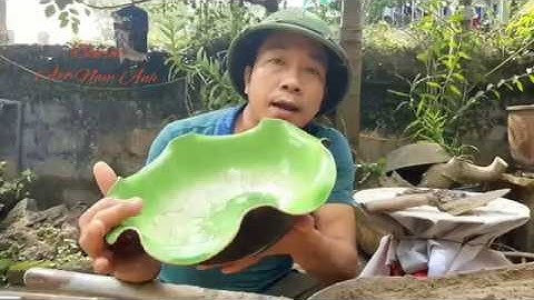 CÁCH LÀM CHẬU LÁ SEN BẰNG XI MĂNG SIÊU ĐƠN GIẢN