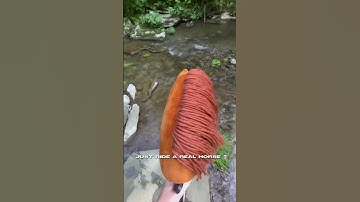 “Ride a real horse” ok? 😉 #hobbyhorsing #hobbyhorse #viral