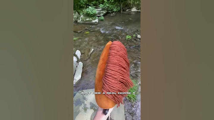 “Ride a real horse” ok? 😉 #hobbyhorsing #hobbyhorse #viral