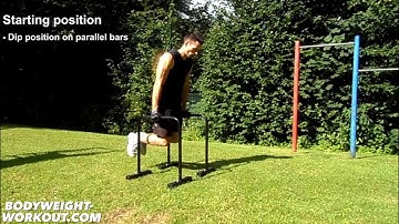 L sit on parallel bars bodyweight exercise madbarz exercises