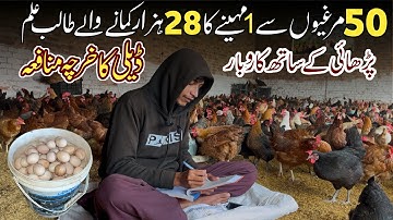 How To Start Poultry Farm From 50 Hens | 50 Murgi Ka Daily Profit | Golden Misri Poultry Farming