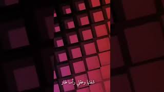 شفتها وعقلي رأساً طار 