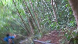 Maunawili Falls hike 4