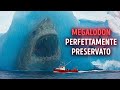 Pensi che il Megalodonte sia spaventoso? Aspetta di vedere questo