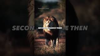 Don't Repeat same Mistake🔥🔥 Motivational quote Sigma#motivation #shorts #motivational #youtubeshorts