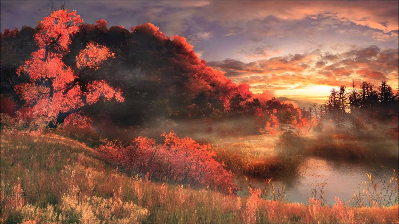 Illesnoise - Deep House Amsterdam Buiten Westen Podcast