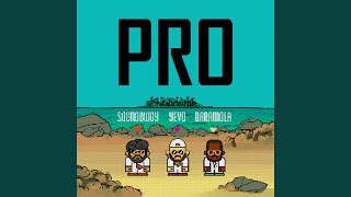 PRO