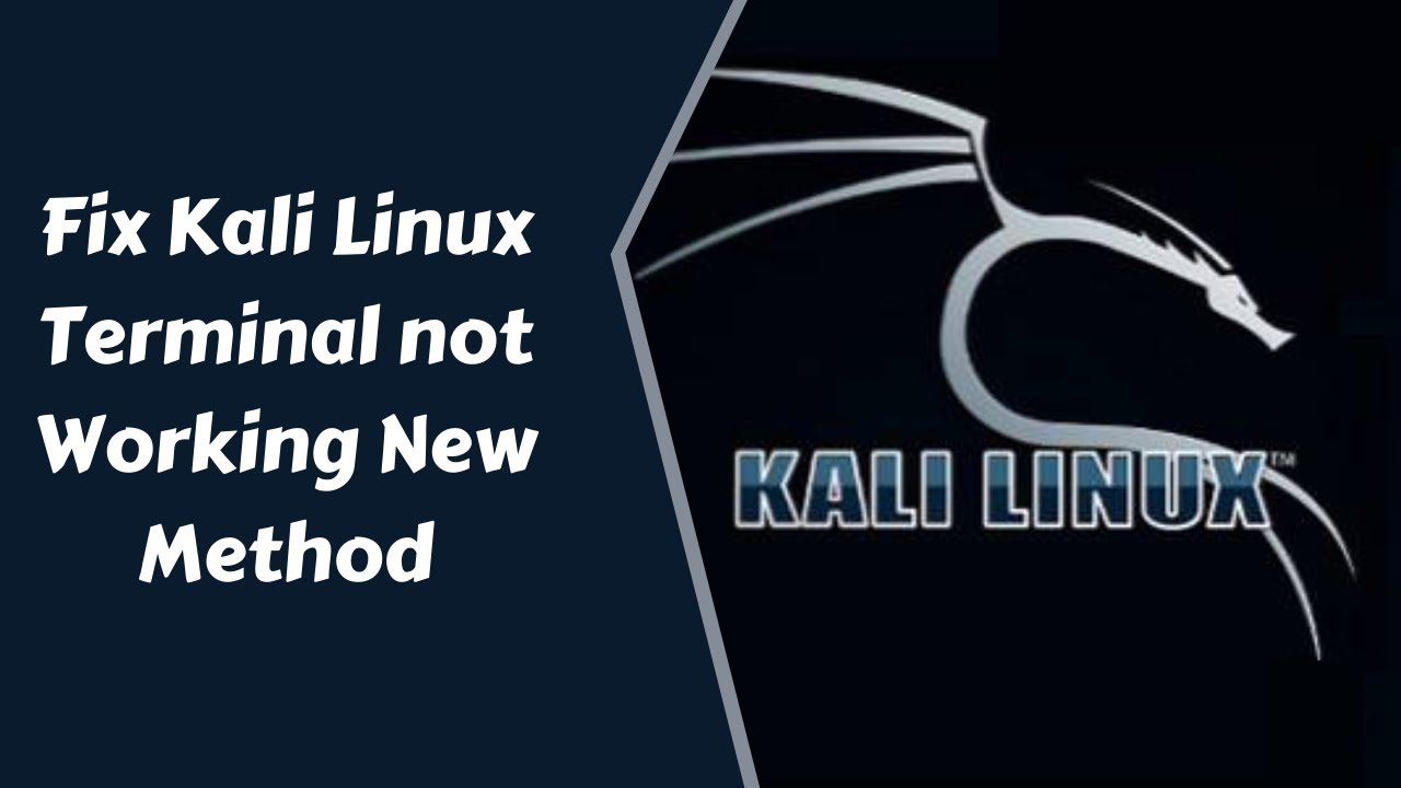 How to Fix Kali Linux Terminal not Working New Method | Urdu - YouTube