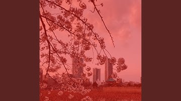 Exquisite Moods for Nights Out