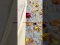 Eco-Printed Saree with Real Flowers 🌼 | Sustainable Fashion from Temple Waste
