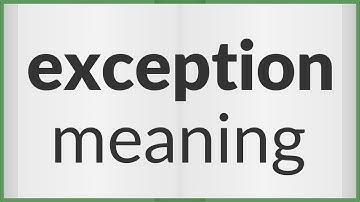 Exception | meaning of Exception