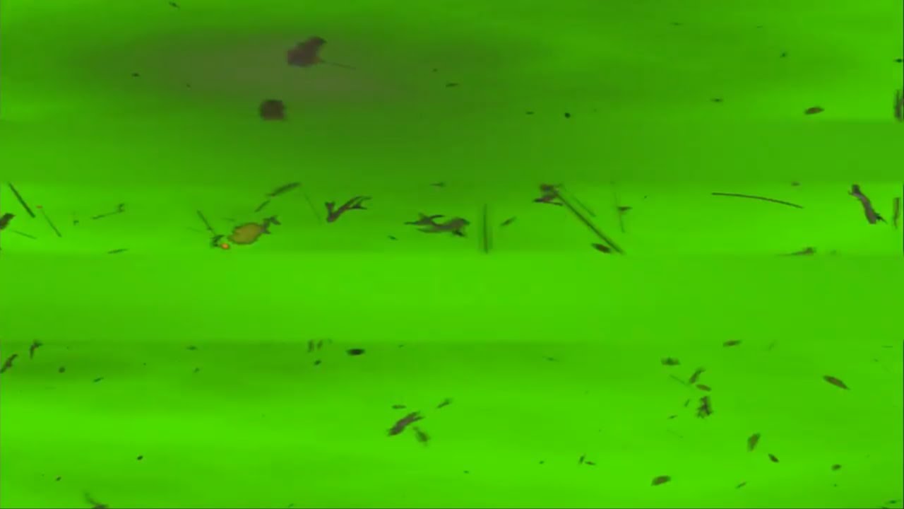 Storm Green Screen Video Effect